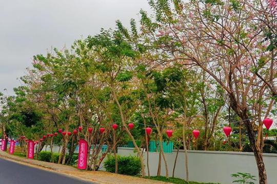 Lovely Room Oceanami Resort Long Hai Esterno foto